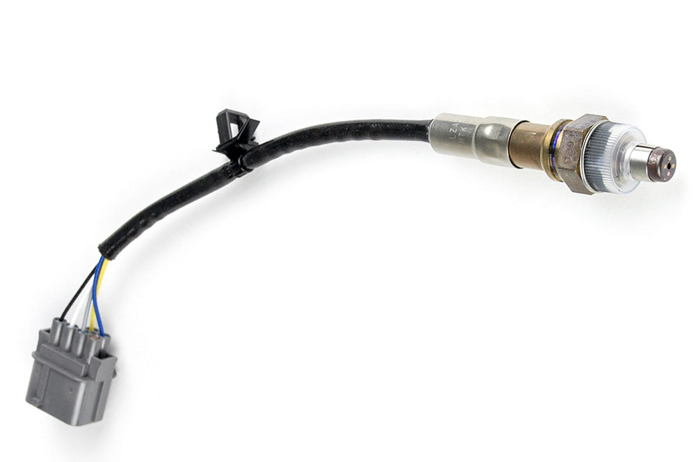 Haltech WB1 Single Channel CAN O2 Wideband Controller Kit