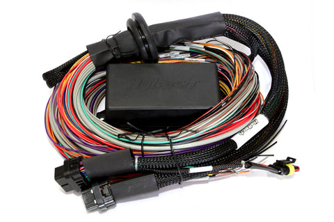 Haltech Elite 2500 & 2500T 8ft Premium Universal Wire-In Harness