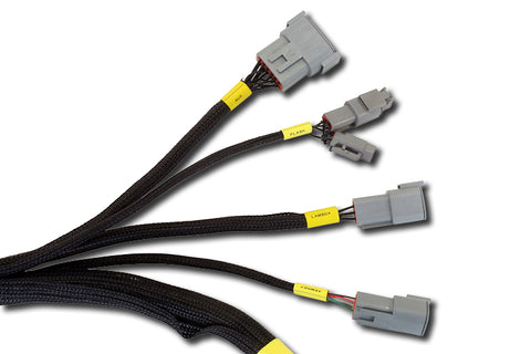 AEM Infinity-6/8h Plug & Play Jumper Harness: Nissan 1994-1996 Silvia SR20DET
