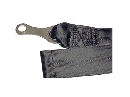 Schroth Rally ASM 4pt Harness System