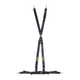 Schroth Rally ASM 4pt Harness System