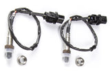 Haltech WB2 Dual Channel CAN O2 Wideband Controller Kit with Bosch LSU 4.9 Sensors