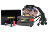 Haltech NEXUS R5 VCU Programmable Vehicle Control Unit with Universal Wire-In Harness Kit