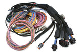 Haltech NEXUS R5 VCU Programmable Vehicle Control Unit with Universal Wire-In Harness Kit