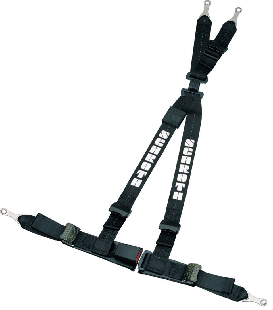 Schroth Rally ASM 4pt Harness System