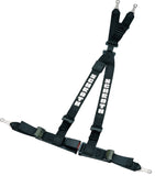 Schroth Rally ASM 4pt Harness System