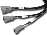 AEM Infinity 506/508 Plug and Play Jumper Harness for 00-05 Honda S2K